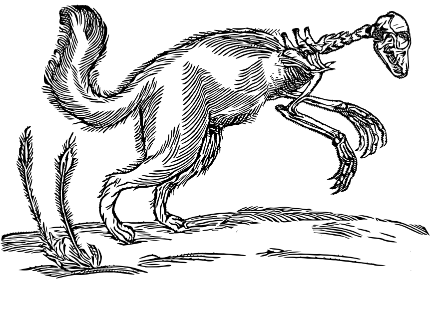 Lupus mortuus est medium