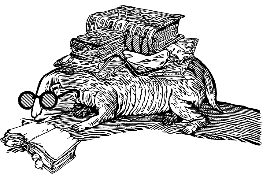 Hurón letrado Mustela putorius