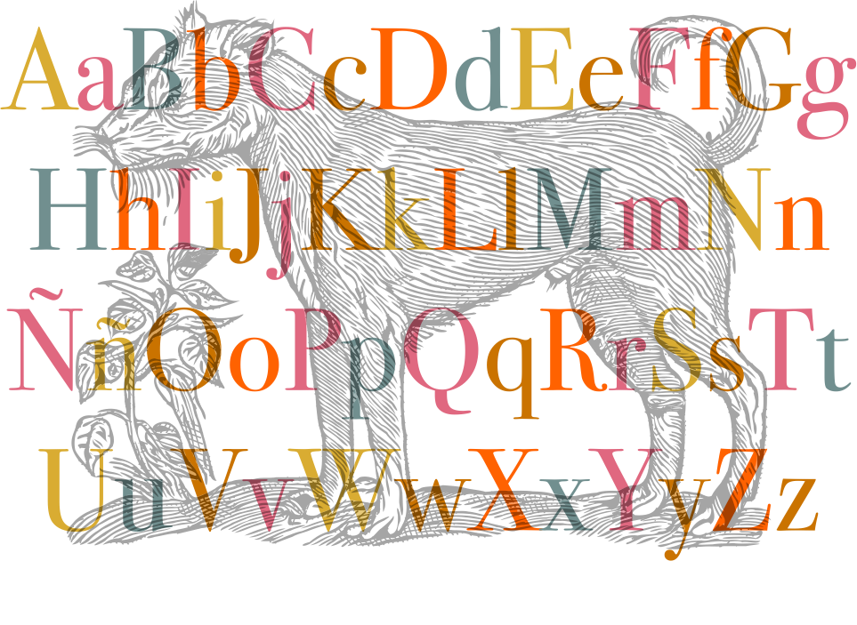 Canis Chamaeleonidae