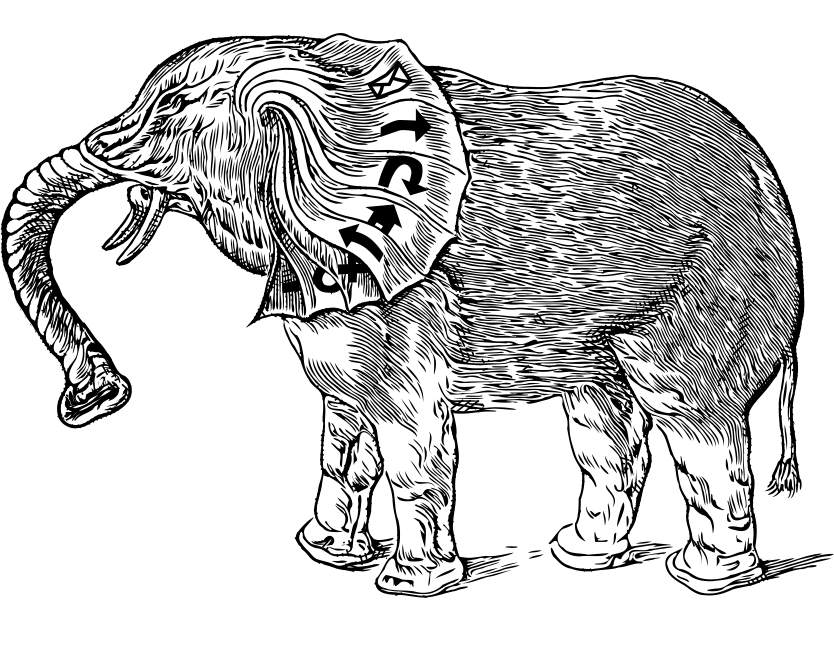 Oso hormiguero con orejas grandes